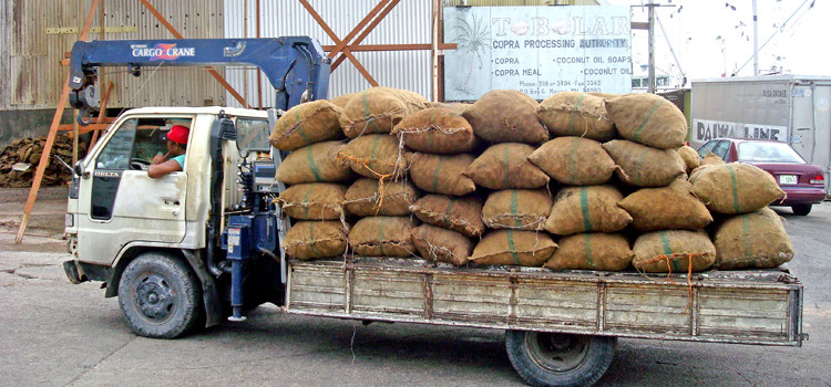 A truck loaded with bags of copra drops off its haul at the Tobolar Copra Processing Authority in Majuro. Copra production up on 2014