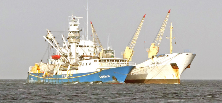The Lomalo, which rescued 36 fisherman, pictured in Majuro lagoon. Photo: Karen Earnshaw Lomalo rescues fishermen