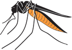 Is Zika virus in Majuro? Is Zika virus in Majuro?