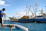 A tender approaches the US-flagged purse seiner Raffaello in Majuro lagoon. All US purse seiners have been unable to fish in the central and western Pacific area since the US defaulted on a treaty January 1. Photo: Giff Johnson US fleet back in action soon