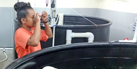 ATMI Hatchery Manager Sonya Joel, right, views zooplankton at the Ajeltake facility while USAID-funded trainee Jackhead Francis records the data. Photo: Beverly Barta. Sonya cares for millions of babies