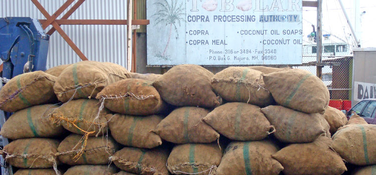 The Deloitte audit of Tobolar Copra Processing Authority (pictured with bags of copra being delivered for milling) says over $100,000 in cash for copra payments is unaccounted for. Tobolar staff lose $100,000