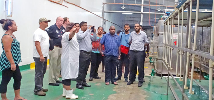 Participants in a small-scale tuna canning training workshop received a tour of the Pan Pacific Foods tuna loining plant earlier this week. Photo: Hilary Hosia. Regional tuna training held