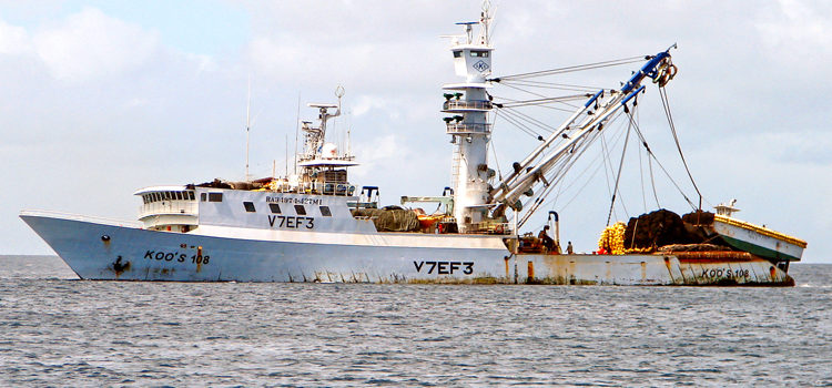 Koo’s 108 purse seiner at anchor in Majuro lagoon, its home base. Photo: Karen Earnshaw. Boat arrest surprises Koo’s