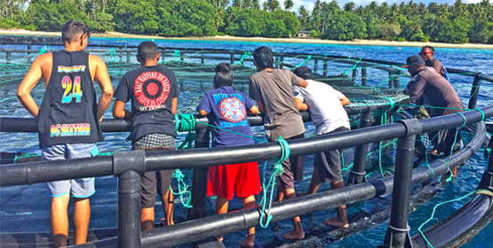 College of the Marshall Islands students recently visited the moi fishing farm in Majuro lagoon, and checked out the cages where the fish are grown until they are large enough to market. Photo: Sabrina Bejang. Moi farm expansion set