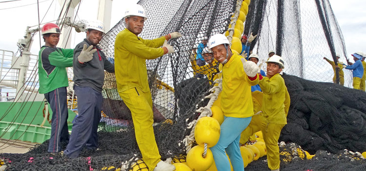 In recent months, barely a day has gone by without at least one purse seiner tied up at PII Dock for net repairs. The company’s net repair yard offers crews the equipment and space to fix their million dollar nets. Photo: Isaac Marty. Kramer: Tuna is RMI’s future