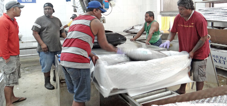 MIFV workers sell fresh tuna in the PII parking lot after working hours. Photo: Hilary Hosia. Mini strike hits MIFV