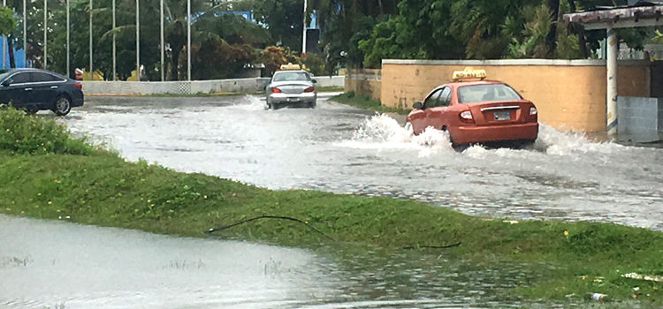 Heavy rainfall has been the story of the year for Majuro, with roads frequently flooded. Weather forecasters believe there is a good chance of a new El Niño weather condition forming late this year. Photo: Giff Johnson. Rain record, El Niño coming
