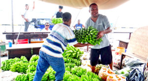 Okeanos staff load local produce from the Misco Market on board the sailing vessel for shipment to Ebeye last week. Photo: Hilary Hosia.