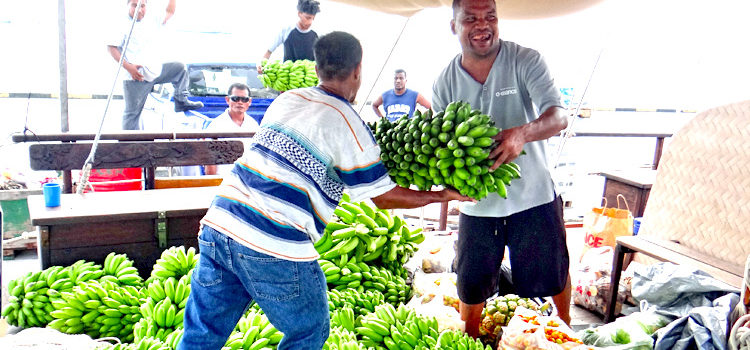 Okeanos staff load local produce from the Misco Market on board the sailing vessel for shipment to Ebeye last week. Photo: Hilary Hosia. Okeanos delivers local food to Ebeye