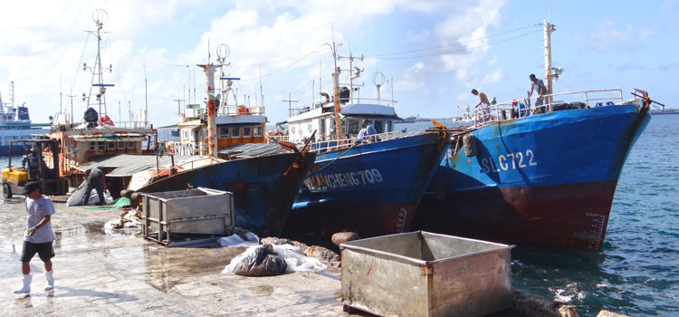 Longline vessels, such as these docked in Majuro, are the focus of several PNA management initiatives in 2019 and beyond. Photo: Hilary Hosia. PNA pushes fisheries action