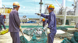 A purse seiner transships tuna in Port Majuro. Transshipping on the high seas by longline fishing vessels is a major point of contention for island nations that want to ban the practice. Photo: Hilary Hosia.