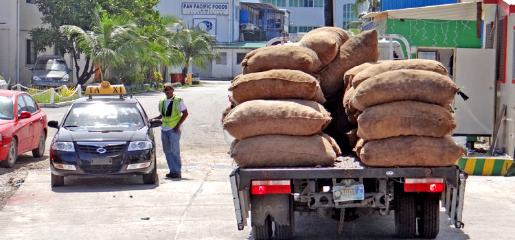 This delivery of copra was recently off-loaded from the Aemman vessel, put onto the truck, weighed and then delivered to the Tobolar Copra Processing Authority plant. Photo: Hilary Hosia. 12-month copra high
