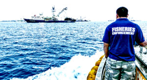 Monitoring of purse seine fishing operations in PNA waters is a critical element of ensuring sustainable fishing in the region, said PNA CEO Ludwig Kumoru. Pictured: a Marshall Islands Marine Resources Authority Fisheries Officer heads out to monitor tuna transshipment operations in Majuro lagoon. Photo: Francisco Blaha.