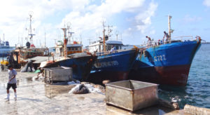 Longline vessels, such as these docked in Majuro, are the focus of several PNA management initiatives in 2019 and beyond. Photo: Hilary Hosia.