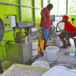 Namdik’s coconut processing facility adds value to the copra produced by local residents by producing high-quality coconut oil that is sold to Tobolar Copra Processing Authority and elsewhere for a higher price. Photo: Kelly Lorennij.