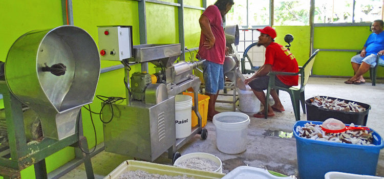 Namdik residents economically active