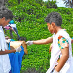 Red Cross volunteers in Majuro have joined island-wide cleanup efforts to remove mosquito-breeding grounds as part of dengue prevention. Photo: Roger Muller.