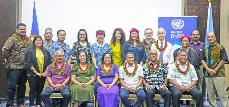 UN expanding RMI program