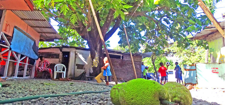 Batkan man electrocuted in ‘ma’ tree