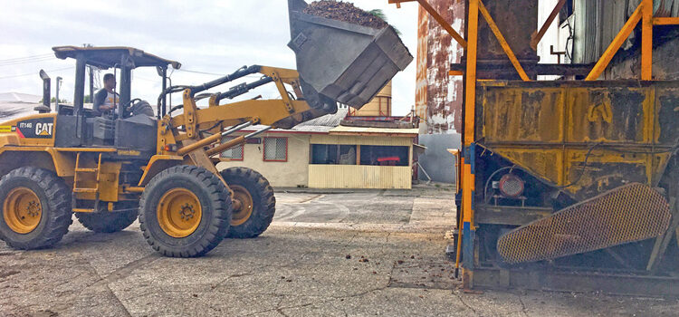 Dengue ban slows copra production Dengue ban slows copra production