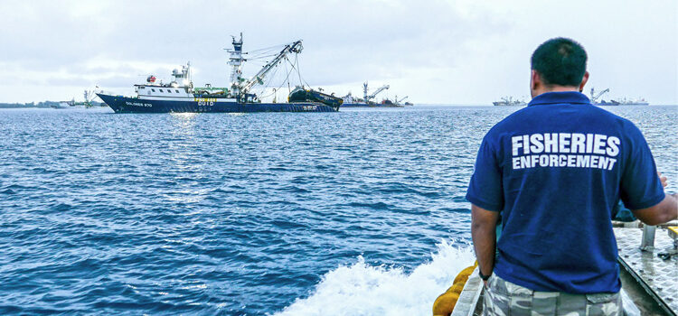 Keeping our fisheries honest