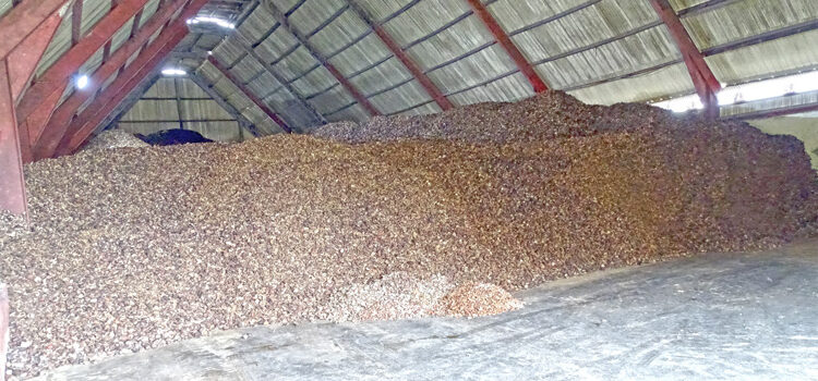 Bumper copra crop hits Tobolar