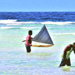 Riwut canoe builders and captains prepare to launch their canoes during a race at Lae Atoll recently. Photo: Deo Keju.