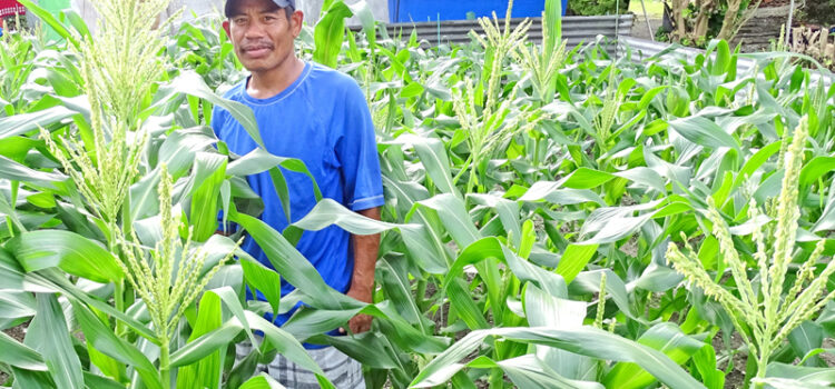 Laura’s great growers