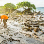 Ocean and lagoon water flooded the lowest lying areas for three straight days throughout the Marshall Islands and the Federated States of Micronesia this past weekend and Monday
