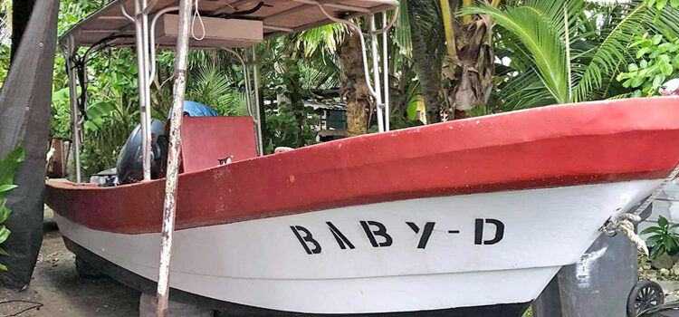 Arno boat calamity averted