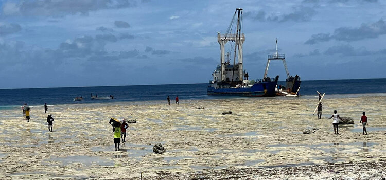 Lib launches big project