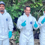 A team from the Ministry of Natural Resources and Commerce spent a Saturday earlier in April on a rat eradication mission on Eroj, a small island on the north shore of Majuro Atoll. Photo: Chewy Lin.