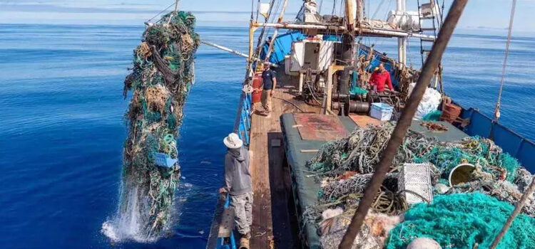 Kwai on ocean cleanup