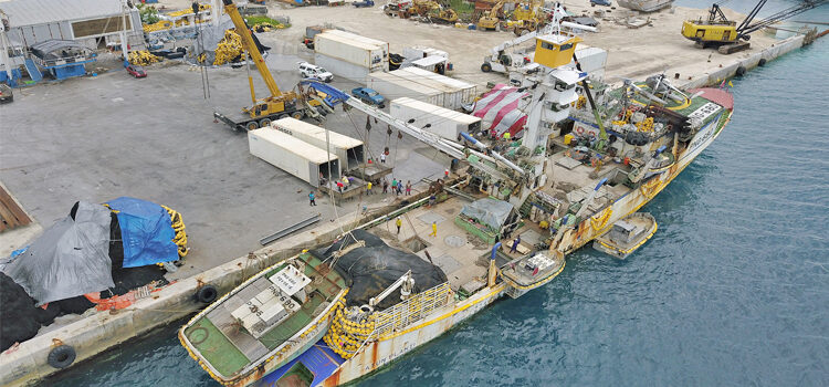 Tuna movement remains slow