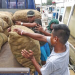 In this file photo from last year, copra from Mili is offloaded from a bum-bum boat at Uliga Dock for delivery by truck to the Tobolar Copra Processing Authority plant in Delap. Photo: Hilary Hosia.