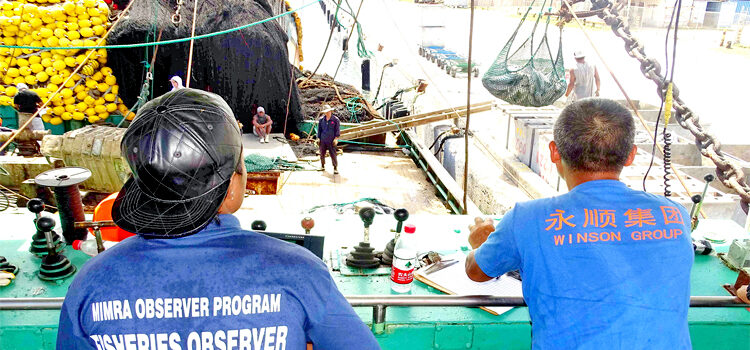 MIMRA sees tuna rebound