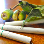 Betel nut, leaves and cigarettes. Missing is the lime powder that is added to this combination of chewable items. Photo: Hilary Hosia.