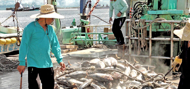 Majuro tuna plan gets push