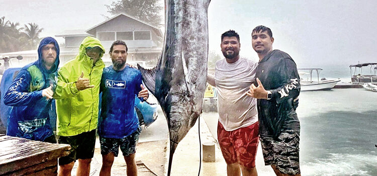 Monster marlin nets $900