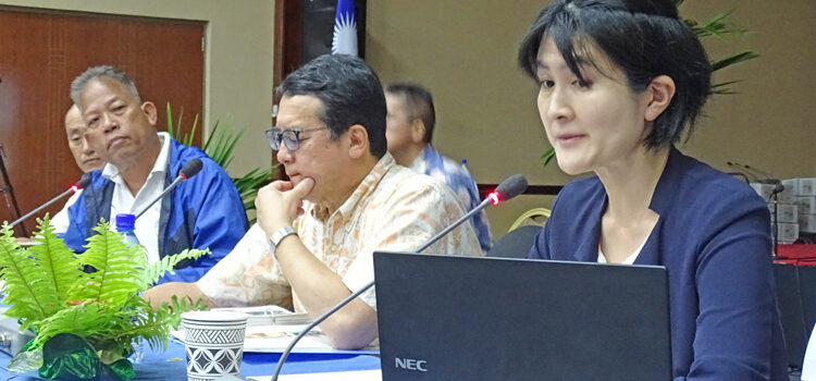 Mayors vs. Japan waste plan