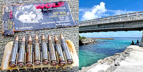 Fl-bullets-8-25