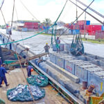 A tuna unloading in progress at Delap Dock for the nearby Pan Pacific Foods processing plant. Photo: Hilary Hosia.