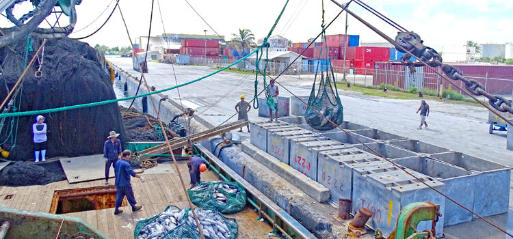 Tuna operations strong in 2023