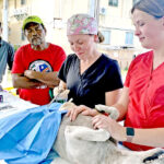 RMI Love Animals team members work on a dog this week at the Youth to Youth in Health property in Uliga while the owners look on. Photo: Joshua Lanki.