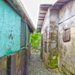 A new report on the minimum wage from the Graduate School USA for the Marshall Islands government notes that 17 percent of households in Majuro and Ebeye have no wage earner and are in need of alternative means of social protection aside from increasing the minimum wage. Photo: Wilmer Joel.