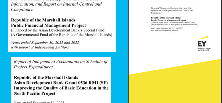 Audit shows consultants are the winners