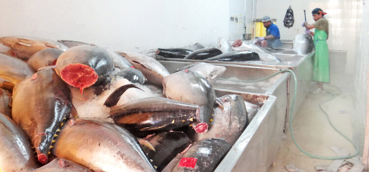 Tuna program adds value for RMI