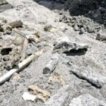 Bones and World War II era bullets were discovered during excavation for a new construction project on Ebeye last week. Photo: Hilary Hosia.