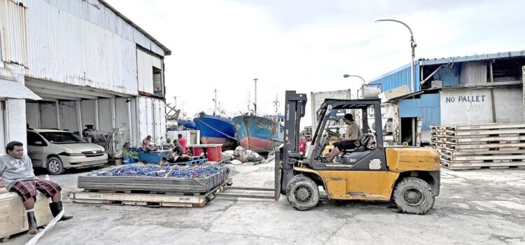 A forklift operator moves equipment in the MIFV plant area, with longline fishing boats tied up at the dock in the back. Photo: Giff Johnson. MIFV tuna deals for locals